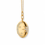 Load image into Gallery viewer, 18K Gold Plated Starry Oval Locket Necklace, Vani