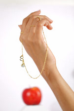Load image into Gallery viewer, Personalised Topaz Initial Rolo Necklace - Inaya Accessories