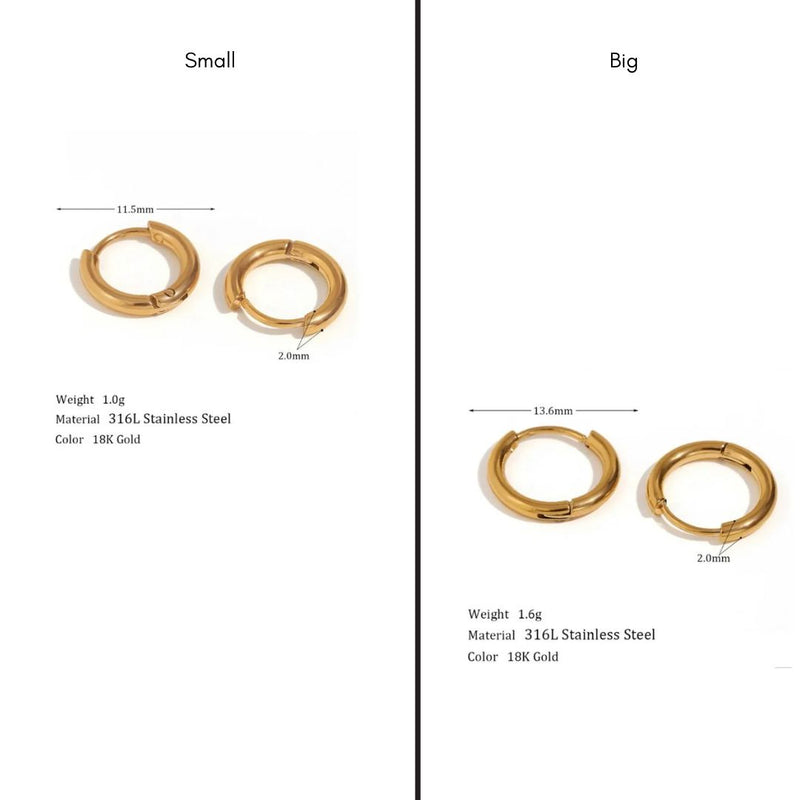 The Ultimate Everyday Hoop Duo - Sudha Earrings